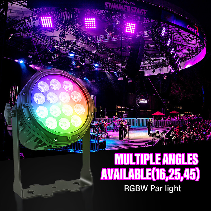 New 14x10w water-proof led par light